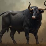 The Black Bull’s Embrace